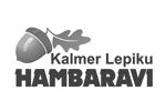 Kalmer Lepiku Hambaravi